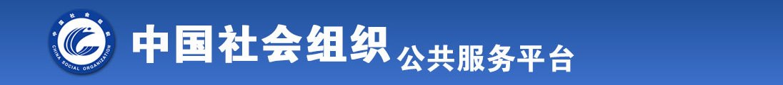 大鸡巴插入视频小穴在线观看全国社会组织信息查询